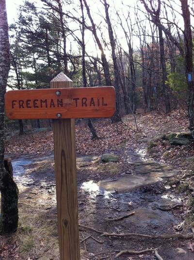 blood mountain loop appalachian trail freeman trail