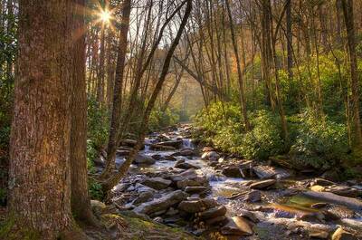 smoky mountains national park national parks free on veterans day