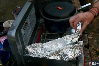 how-to-choose-the-best-camping-stove-grilling-fish