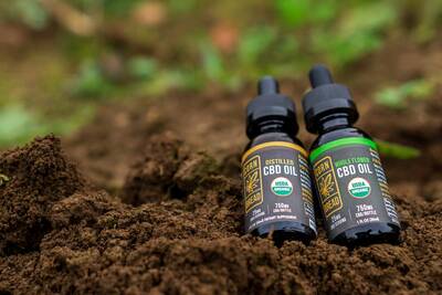 holiday gift guide 2020 cornbread hemp organics-in-dirt