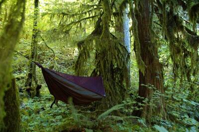 how to bug proof your hammock featured