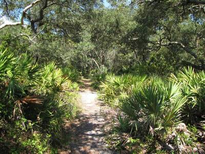 long hikes backpackers will love florida trail