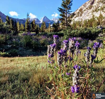 thru hiking the john muir trail 6