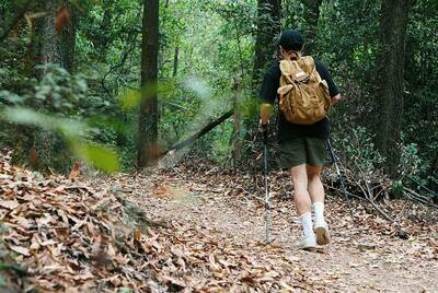 Trekking poles adding comfort to any hike!